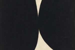 0157564d crop