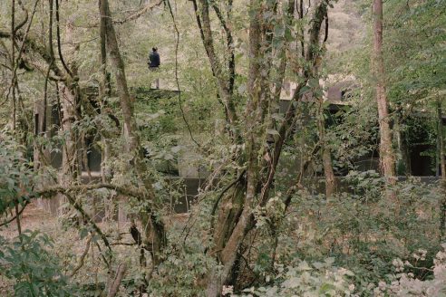 02-Copas-PPAA-%C2%A9RoryGardiner-492x328.jpg
