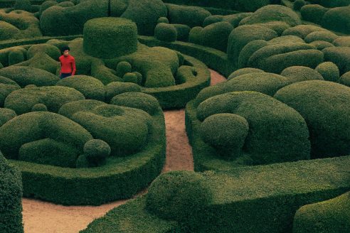 13_VDM_Garden-Futures_Gardens-of-Marqueyssac_Julien-de-Cerval-492x328.jpg