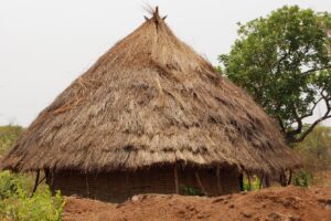 A savannah hut with thatched roof, north of the equator. This building type is virtually identical to those found in parts of Angola, on the south-west coast of Africa