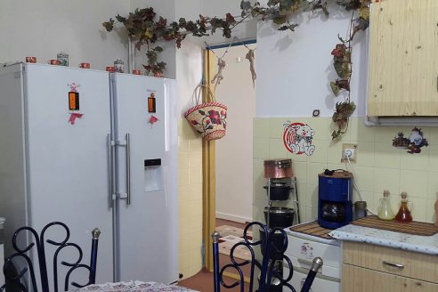 architectural-review-samaneh-moafi-iranian-kitchen-1-492x328.jpg