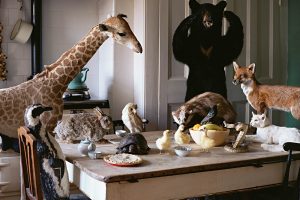 architectural-review-taxidermy-merle-patchett-2-300x200.jpg