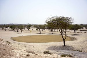 Awali-Golf-Club-Bahrain-2021_camille_zakharia_architectural_review_energy-300x200.jpg