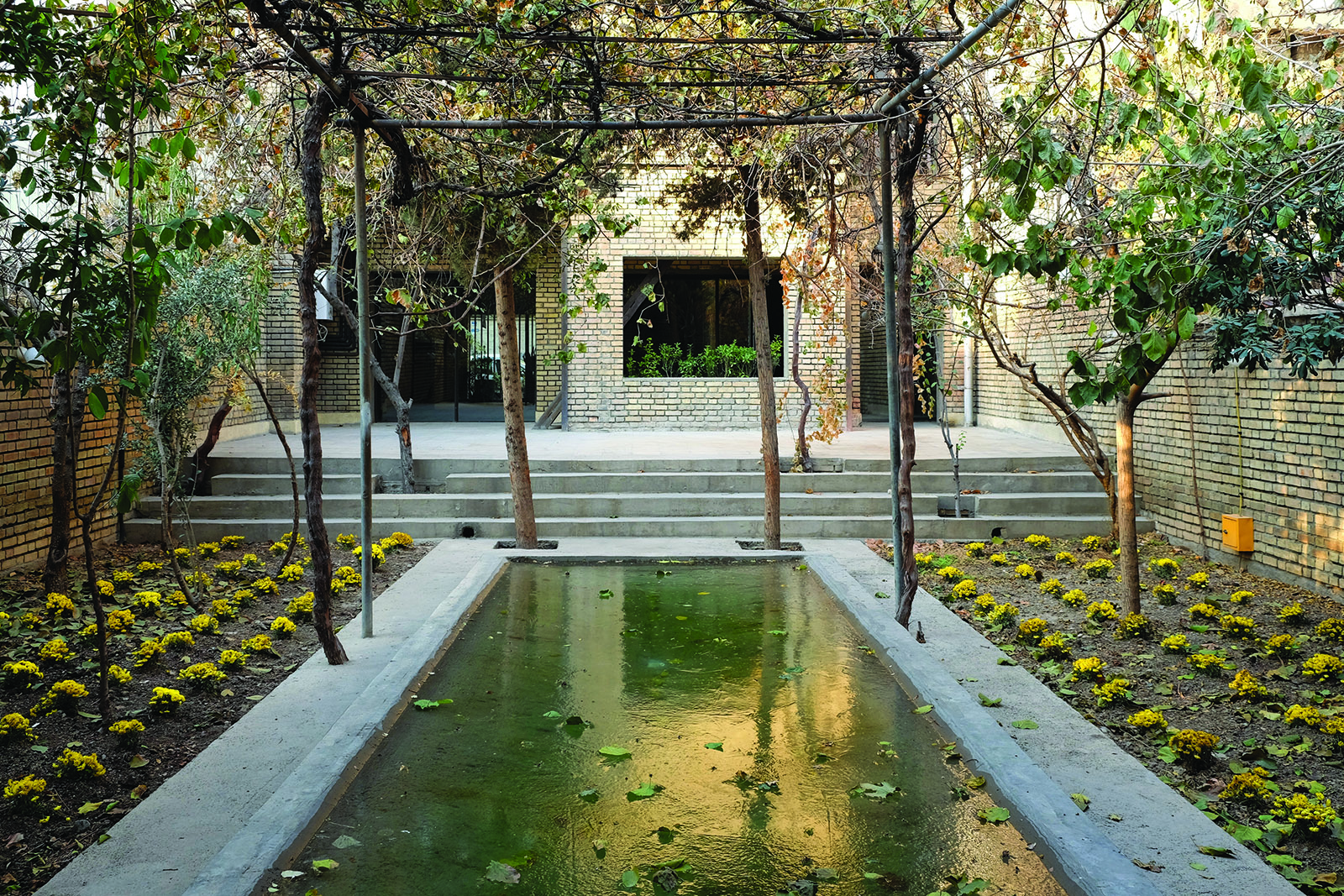A pool covered in shading vegetation and surrounded by paving stands in the middle of the back garden of Farsh Film Studio