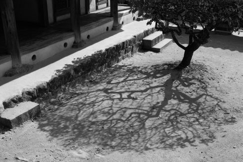 Koreas-shadows-Byeongsanseowon-architectural-review-01-index-492x328.jpg