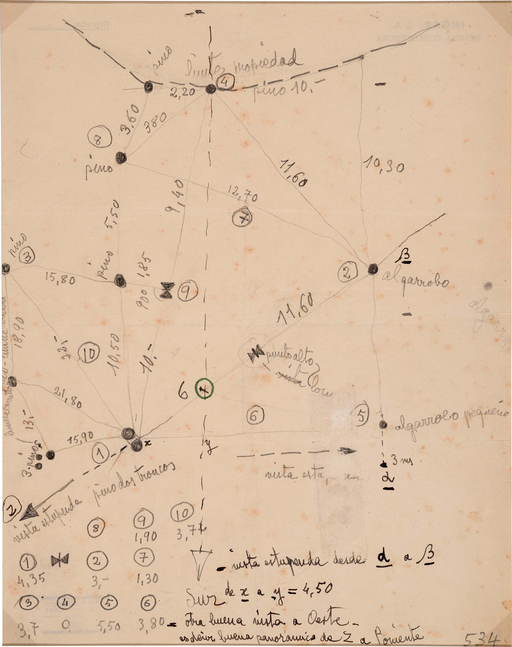 José Antonio Coderch drawing of trees on the Casa Ugalde plot