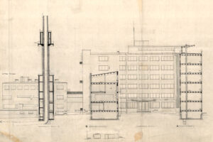 Palmiodrawingindex