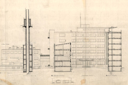 Palmiodrawingindex
