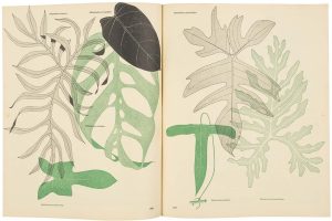 species-may-1952-issue-illustrations-by-gordon-cullen-architectural-review-6-300x200.jpg