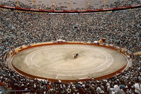 Tijuana-bullring-architectural-review-index-492x328.jpg