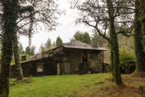 Contest site: A Panda da Dá, Galicia